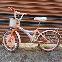 دوچرخه دخترانه|دوچرخه، اسکیت، اسکوتر|رشت, نیروی دریایی|دیوار