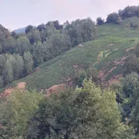 شش هکتار ، با قابلیت اخذ ۵۰ عدد پروانه ساخت