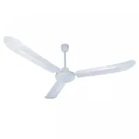 پنکه سقفی پر بلند|پنکه و تصفیه‌کنندهٔ هوا|قشم, |دیوار