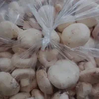 قارچ خوراکی