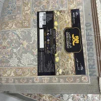 فرش ۶ متری ساوین|فرش|ساری, |دیوار