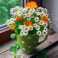 سویت اجاره ای بازرگان