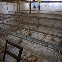 فروش  قفسه های پرورش قارچ  در حد نو