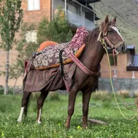 نریان سه ساله