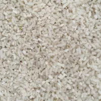 لاشه برنج دمسیاه