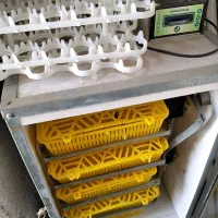 جوجه کشی آسان با دستگاه 168عددی ایران چیک