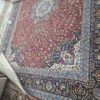 فرش 12 متری|فرش|مشهد, کوی سیدی|دیوار