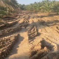 کار  اجاره لودر  تا بمپور و اطراف|خدمات پیشه و مهارت|ایرانشهر, |دیوار