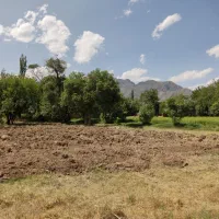 زمین کشاورزی مرغوب|فروش زمین و ملک کلنگی|سلفچگان, |دیوار