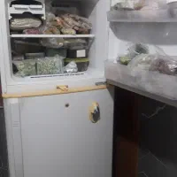 یخچال فریزر بدونه برفک سامسونگ کره|یخچال و فریزر|رشت, فلسطین|دیوار