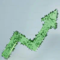 استخدام همکار در شرکت رسمی و معتبر خدماتی