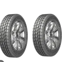 2حلقه لاستیک ساندرو
