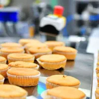 استخدام نیرو در شهرک صنعتی چناران