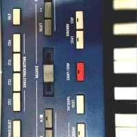 کورگ pa 800|پیانو، کیبورد، آکاردئون|مشهد, جاهد شهر|دیوار