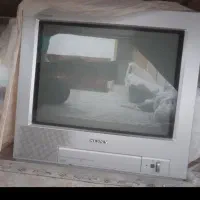تلویزیون