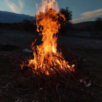 سلام کارگر لازم دارم برای کار مزرعه  واسه کارسیر