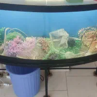 آکواریوم باتمام وسایل