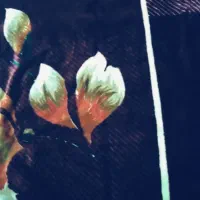 دو عدد پتو دو نفره گلبافت در حد|رختخواب، بالش، پتو|قم, ژاندارمها|دیوار