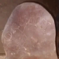 زین اسب|اسب و تجهیزات اسبسواری|اردکان, |دیوار