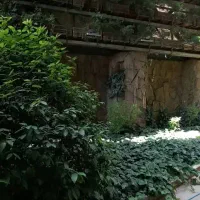 گارکر ساده باغبانی|استخدام سرایداری و نظافت|تهران, چیذر|دیوار