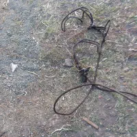 سیم بوکسور ۱۰ تنی سالم