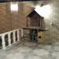 اجاره ویلا روزانه اسخر دار شاهین شهر|اجارهٔ کوتاهمدت ویلا و باغ|شاهینشهر, برخوار غرب|دیوار