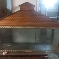 آکواریوم مناسب برای پرورش حلزون