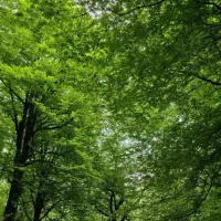 تور