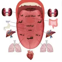 با گوشی دستت توخونه آموزش ببین ودرآمدداشته باش