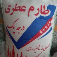 طارم فریدونکنار