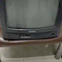تلویزیون