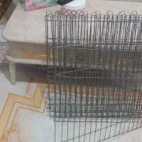 پارک سگ نو|لوازم جانبی حیوانات|رشت, رشتیان|دیوار