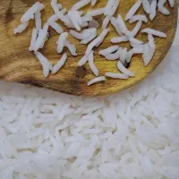 فروش برنج طارم هاشمی اصل فریدونکنار|خوردنی و آشامیدنی|فریدون‌کنار, |دیوار