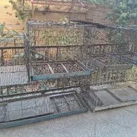 قفس دست بافت ۲عدد جوجه پران و۳عدد جفت کن