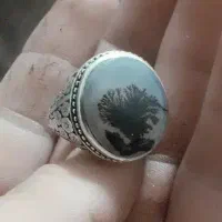 انگشتر شجر قائن گل مشکی