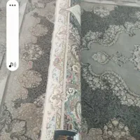 فرش وزرا ۷۰۰ شانه