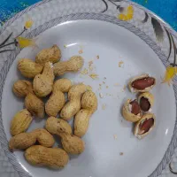 کاملن تازه وتمیز وخوشمزه|حراج|اهواز, کوی علوی|دیوار
