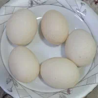 تخم اردک ارگانیک