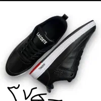 کفش باقیمت های باورنکردنی|کیف، کفش، کمربند|میبد, |دیوار