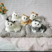 عروسک لبوبو سوپرایزی|کلکسیون و سرگرمی|زرند, |دیوار