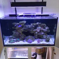 اکواریوم آبشور