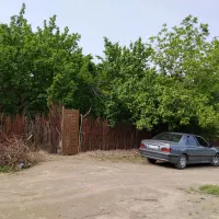 باغ-میوه