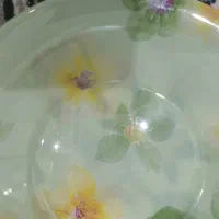 سرویس آرکوپال ۶ نفره لومینارک فرانسه