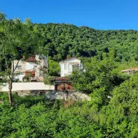 زمین-شهرکی-پلاک-1-جنگل-سند-تک-برگ