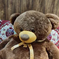 عروسک خرس بزرگ|اسباببازی بچه|رشت, معلم|دیوار