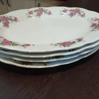 فروش چهار عدد دیس گل سرخ بزرگ