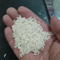 برنج هاشمی درجه ۱|عمده‌فروشی|آستانه اشرفیه, |دیوار