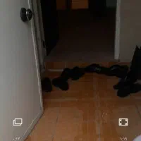 فروش منزل ۶۰ متری در سهل اباد|فروش خانه و ویلا|شیراز, سهلآباد|دیوار