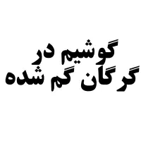 گوشی گمشده