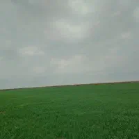 آبیاری زمین کشاورزی
